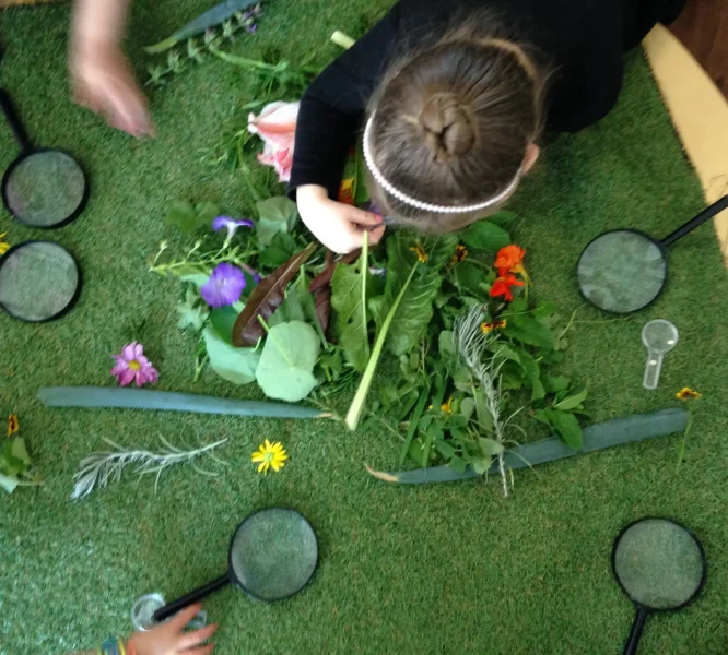 Plant Science at Kindy Science